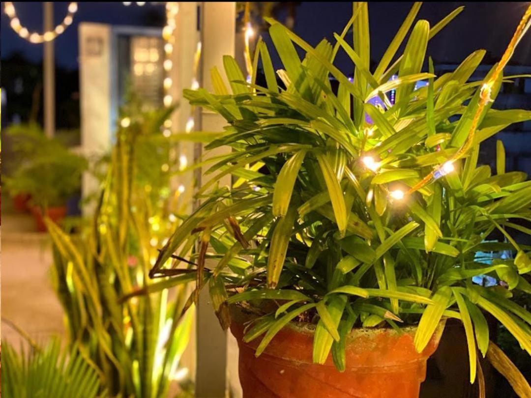 La Paradise Residency - Tie Hotels & Resorts Pondicherry Eksteriør bilde